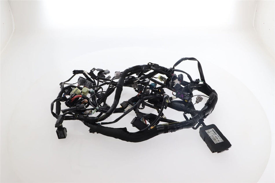 2017-2019 KAWASAKI Z1000 SX Wiring Harness - 26031-2300