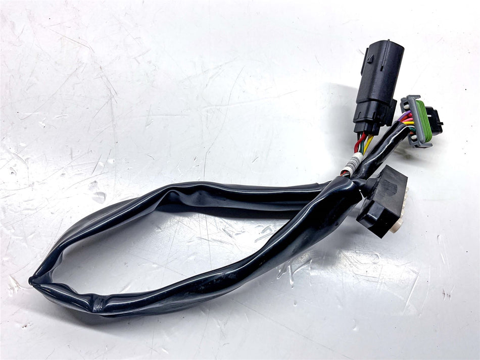 2021 Harley-Davidson Iron 1200 XL1200NS Light Instrument Harness - 69200080