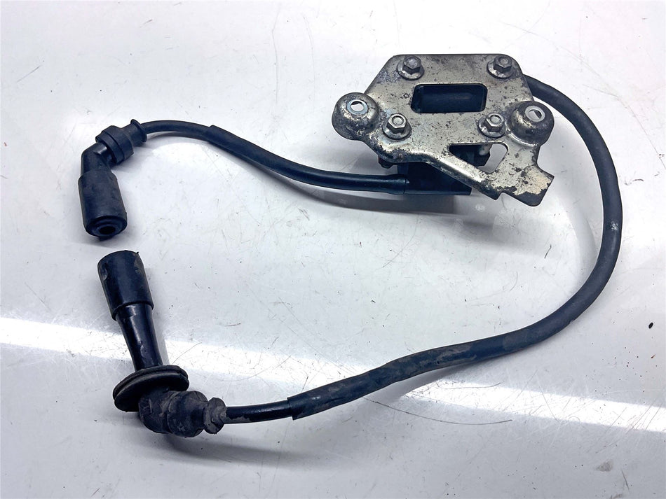2014 Suzuki V-Strom 1000 DL1000 Ignition Coils - 3341006G01