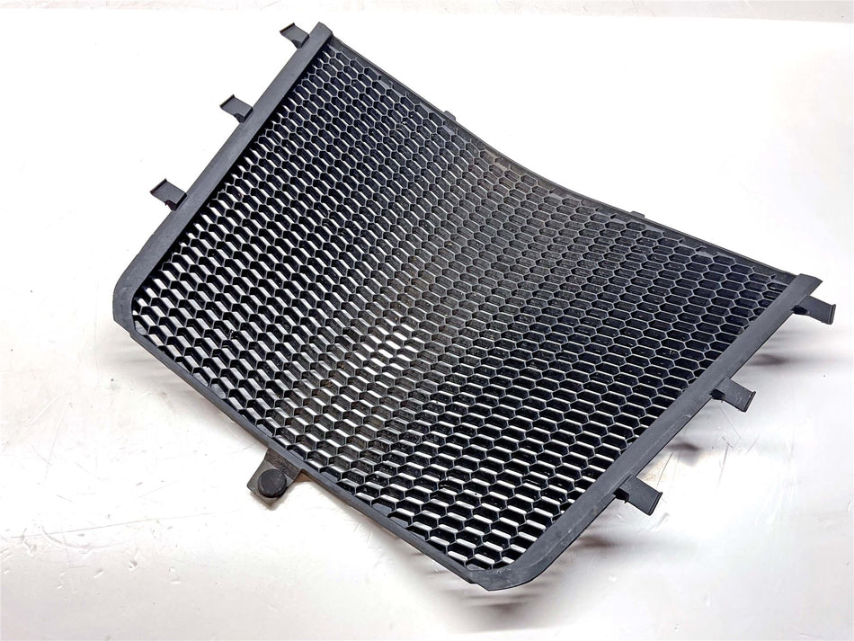 2024 BMW M1000R Radiator Grill Guard - 77315B34B75