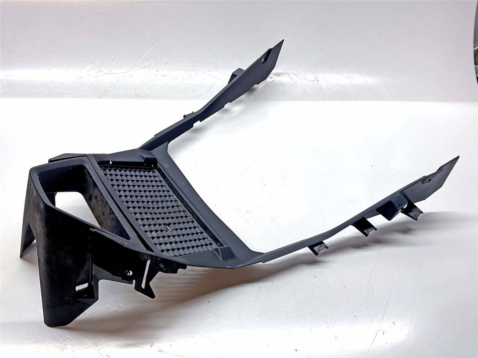 2024 BMW M1000R Radiator Guard and Lower Intake - 46639480405