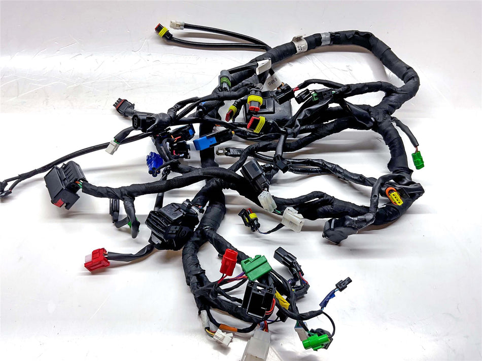 2024 BSA Gold Star 650 Wiring Harness - T1501AB10010N