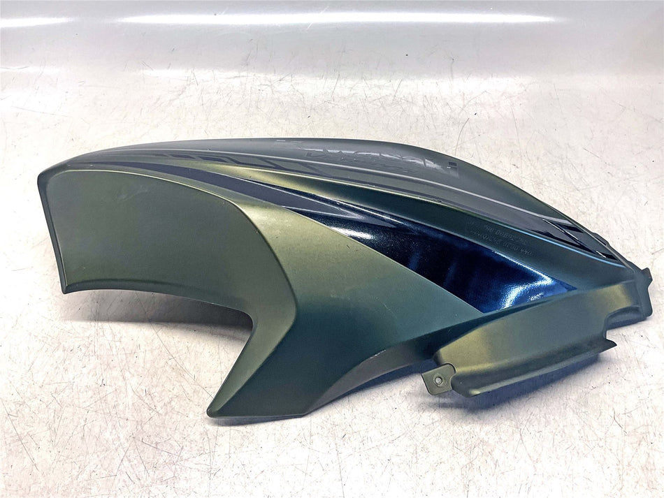 2020 Kawasaki Versys 650 Left Tank Cowl (Green) - 55059-5021-36T