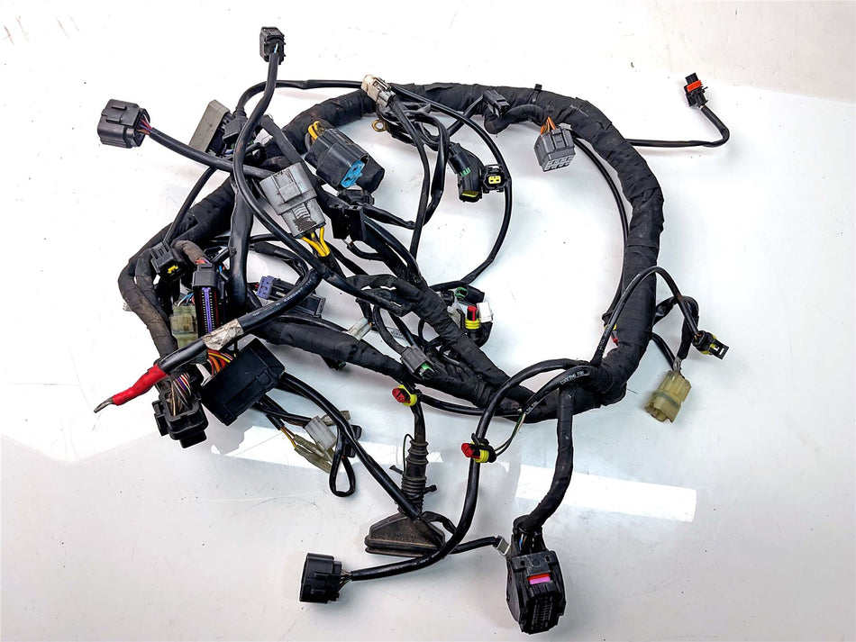2016 KTM 1290 Super Duke GT Wiring Harness Loom - 61411075033