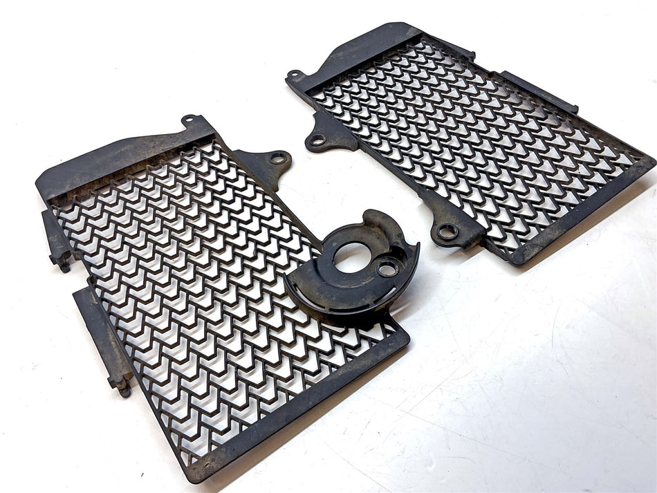 2021 Honda CRF1100L Africa Twin Adv' Sport DCT Radiator Guard