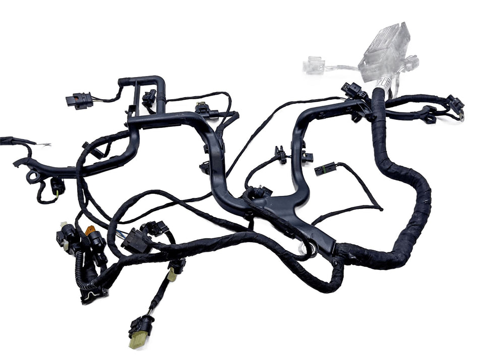 2022 BMW R1250GS Main Wiring Harness Loom 12519480230