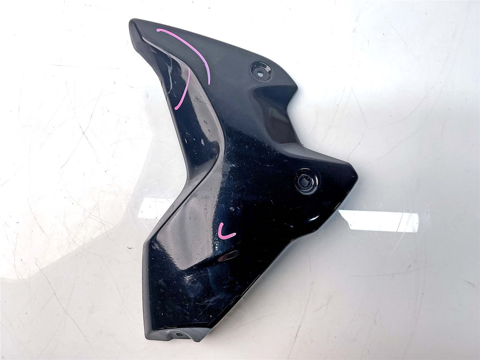 2021 BMW R1250GS Left Radiator Cowl - 46638556653