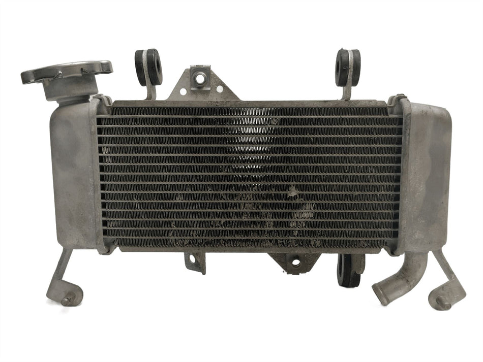 2021 Yamaha YZF R125 Radiator 129012