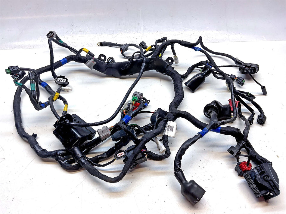 2024 Royal Enfield Shotgun 650 Wiring Harness Loom - RAC00038