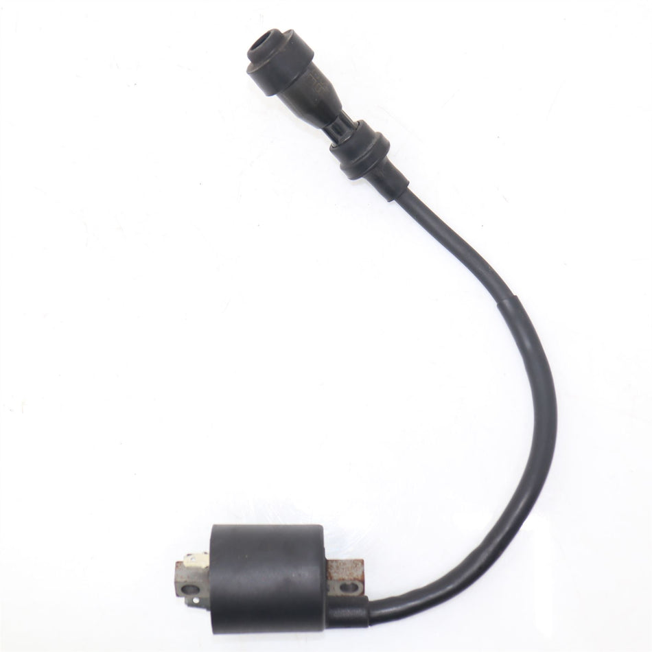 2017-2023 YAMAHA YS 125 Ignition Coil - 2SBH23100100