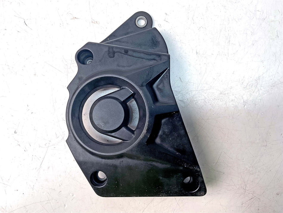2018 BMW S1000R Sprocket Cover - 33818551867