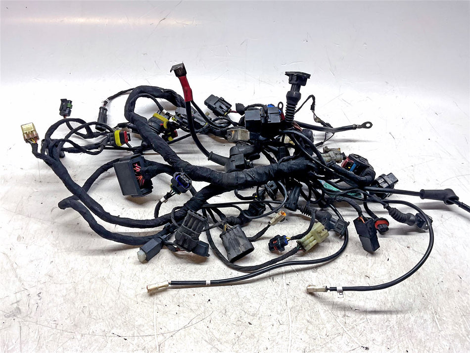 2010 Ducati 1198 Wiring Harness - 51016711B