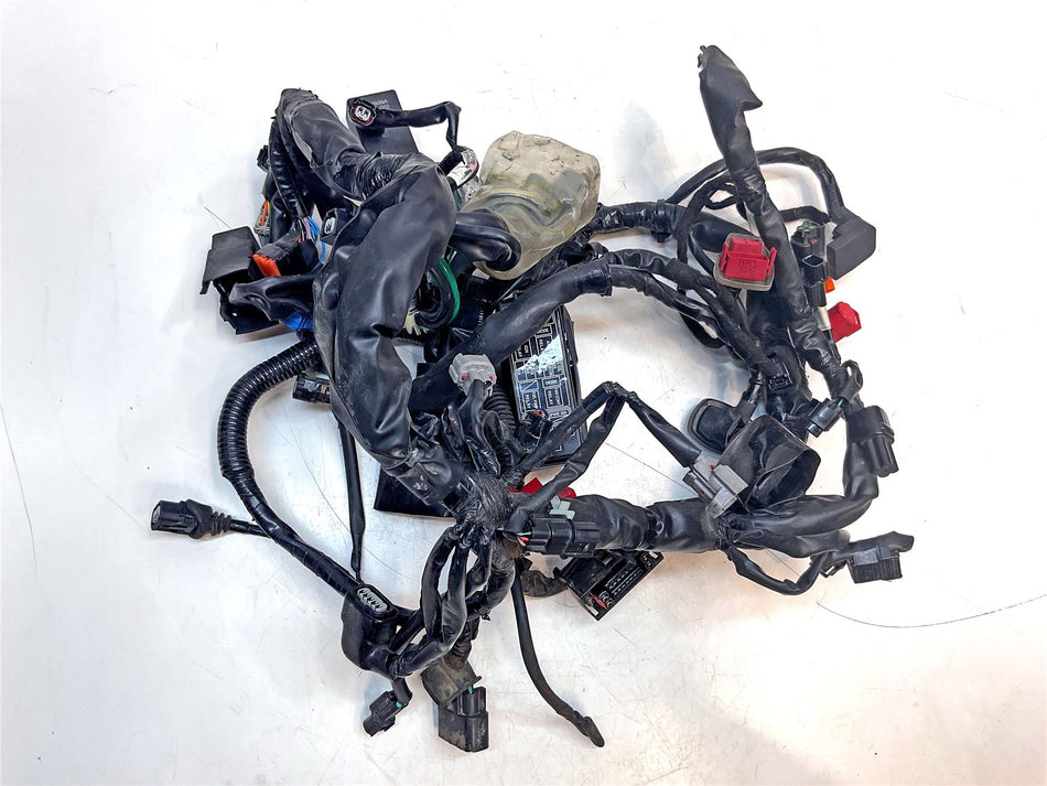 2024 Honda CL500 Wiring Harness Loom - 32100MLPDA0
