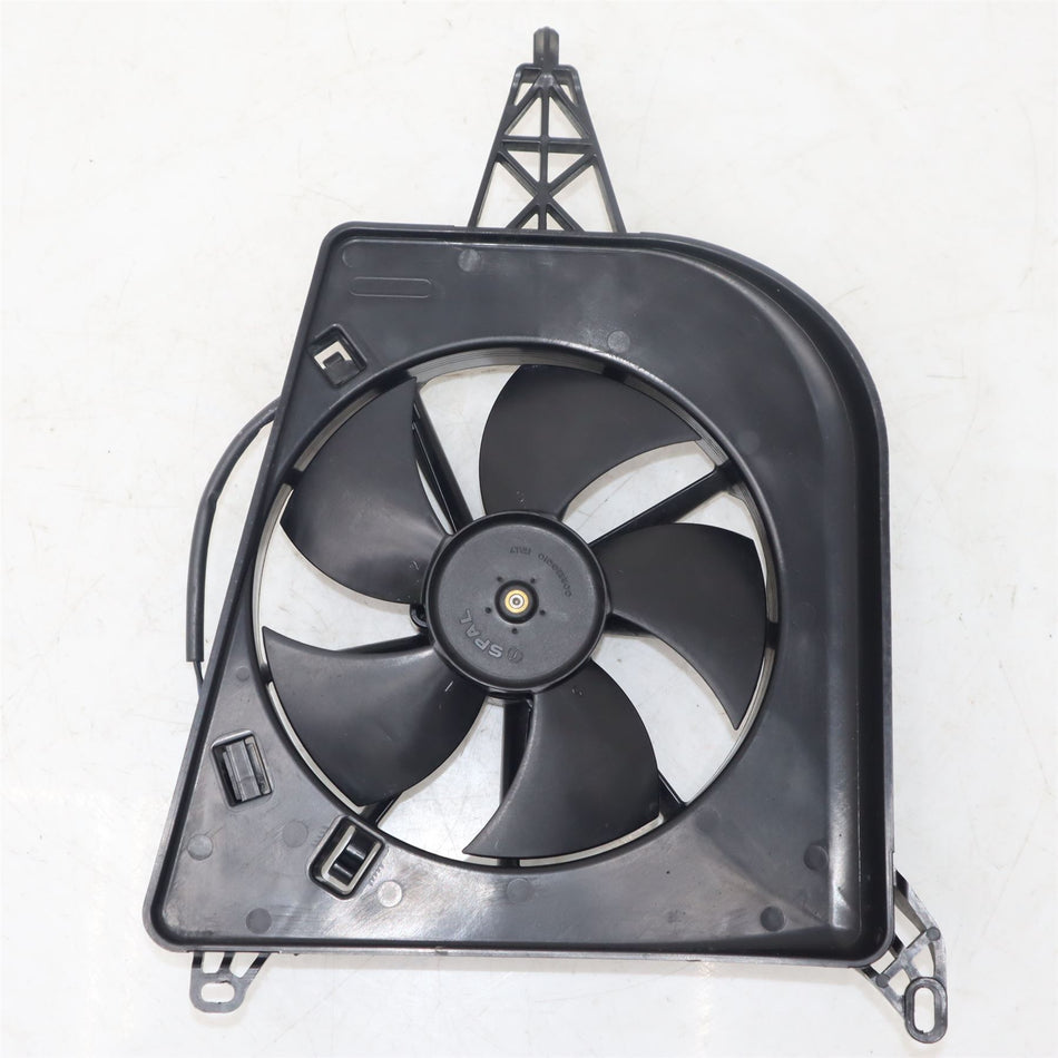 2024 BMW S 1000 RR SPORT Fan - 17408541622