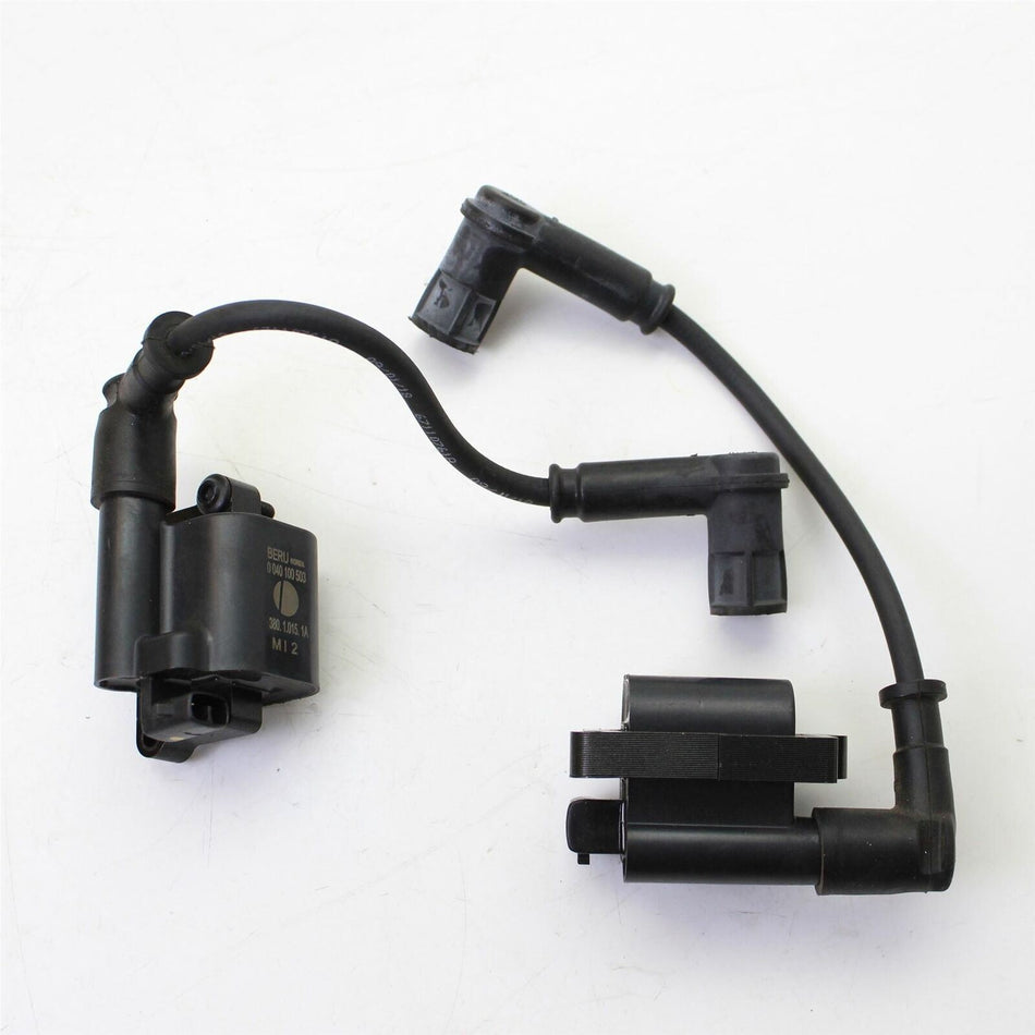 2018 DUCATI MONSTER 797 + Ignition Coils - 38010151A