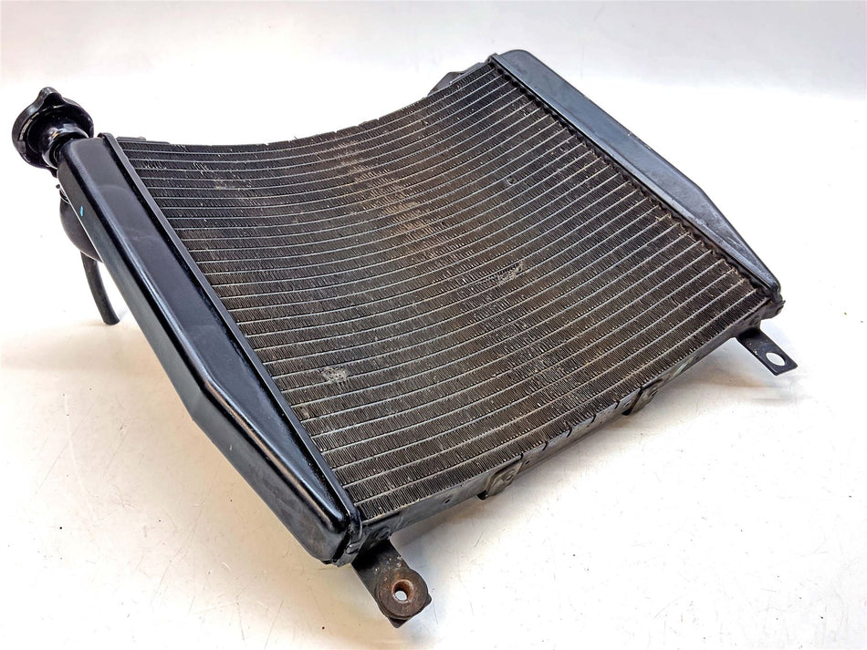 2004 Triumph Daytona 600 Radiator - T2108007