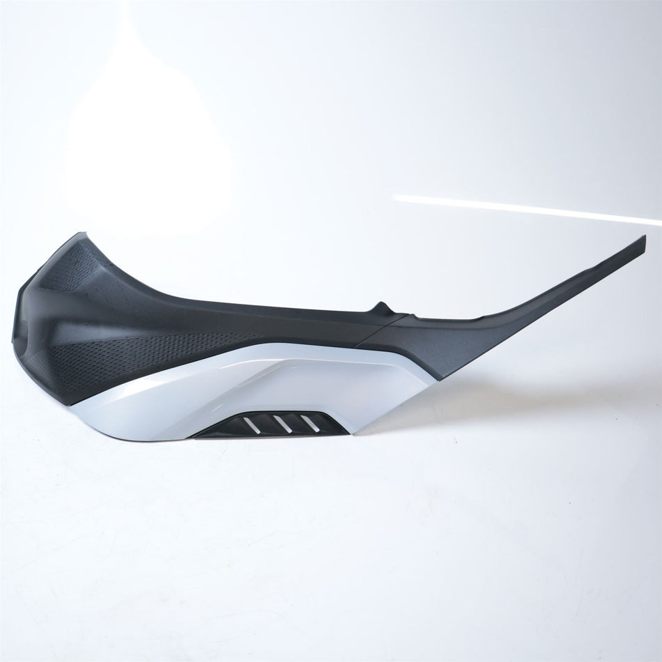 2021 BMW S1000R Left Tank Trim - 46638569771