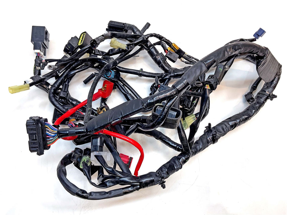 2021 Yamaha Tenere 700 Rally Wiring Harness Loom - BEHH25900100