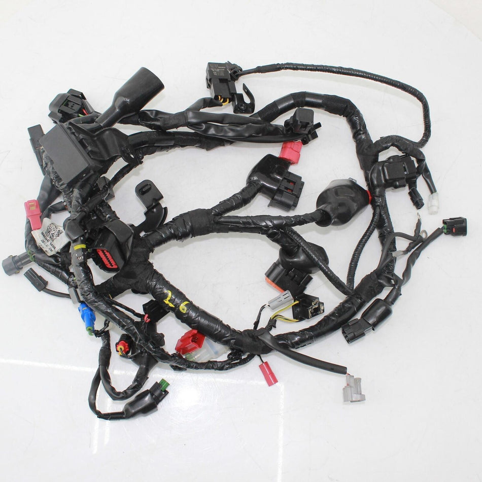 2022 ON ROYAL ENFIELD HUNTER 350 Main Wiring Harness - RAC00637