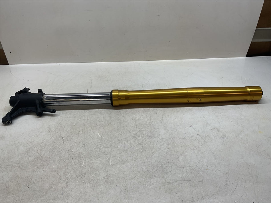2021 Honda CRF1100L Left Fork
