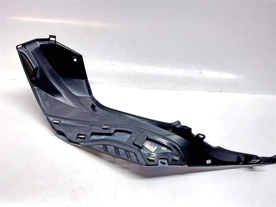 2025 BMW M1000R Right Tank Cover Panel - 46638569772