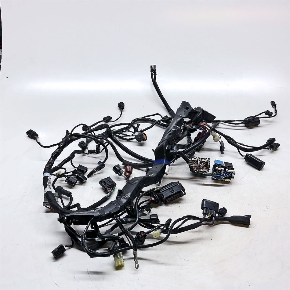 2022 Triumph Street Triple 765 RS Main Wiring Harness Loom - T2507125