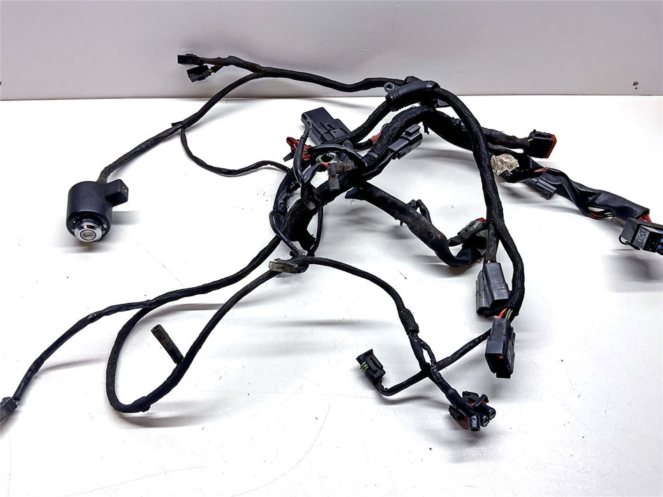 2004 Harley-Davidson Sportster 883 Wiring Harness Loom - 7013904