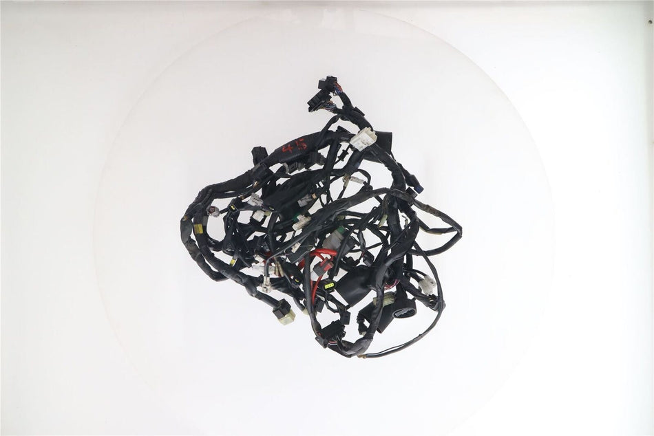 2017-2021 YAMAHA MT-10 SP Wiring Harness - BW8825900200