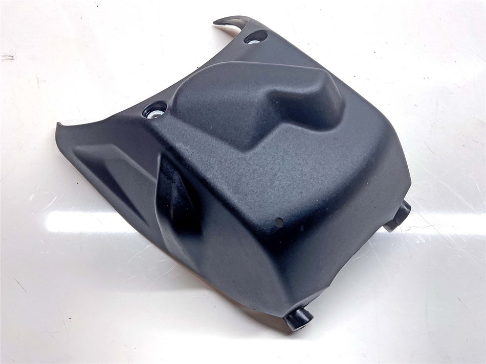 2025 Ducati Streetfighter V2 Engine Cover Top - 4601S202A