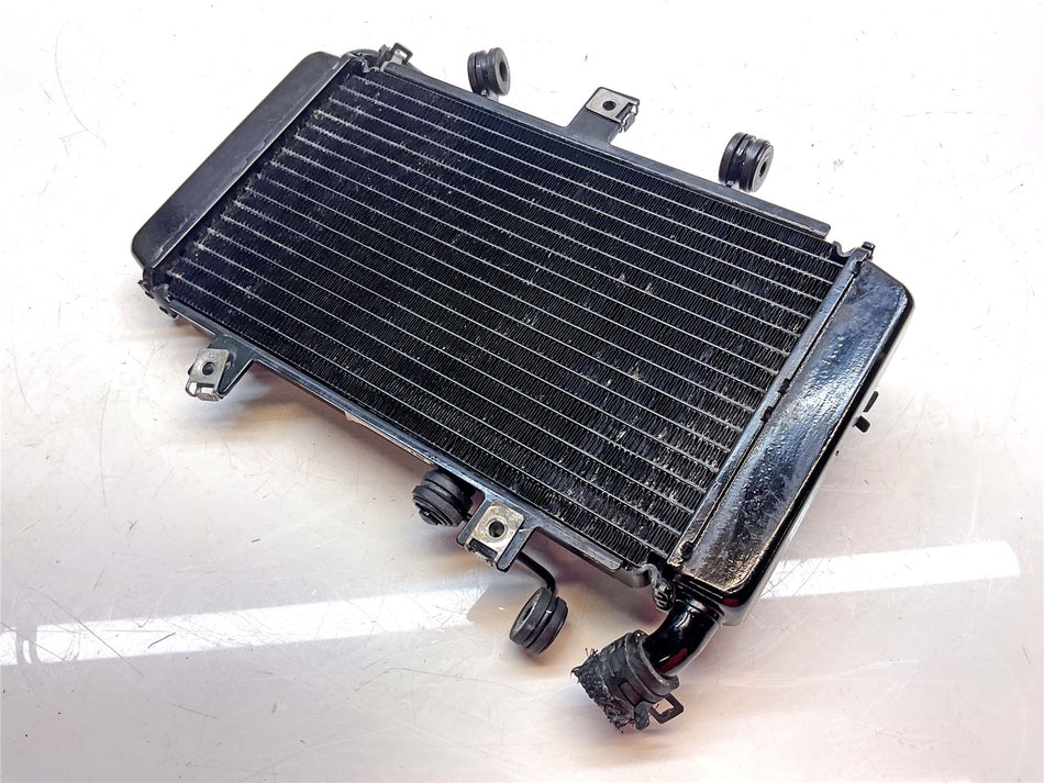 2024 Royal Enfield Himalayan 452 Radiator - RLW00047