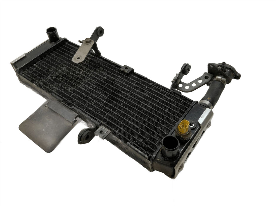 2004 Suzuki SV650S Radiator 1770016G00