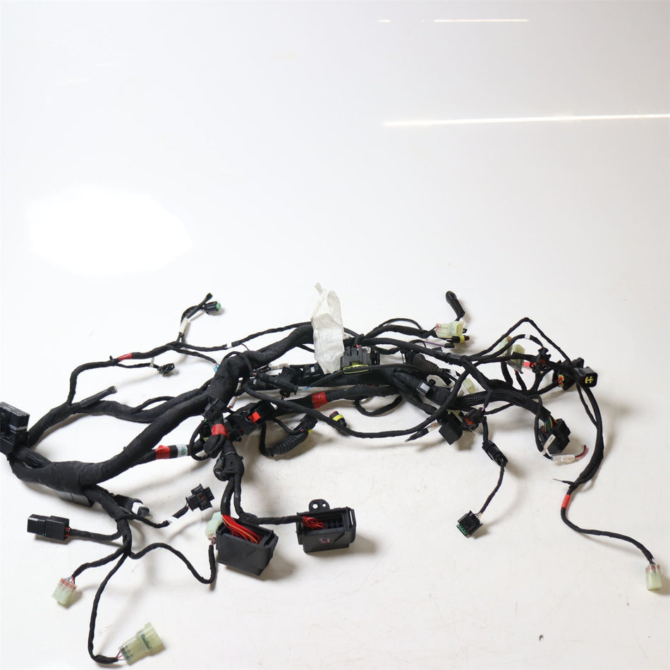 2023 Ducati SuperSport 950 S main wiring harness - 5101h131e