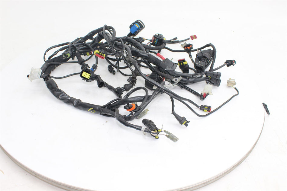 2008-2012 DUCATI MONSTER S4RS Wiring Harness - 51014273B