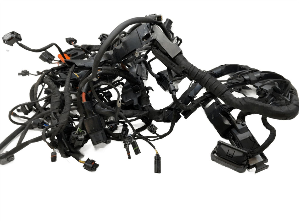 2024 BMW S1000R Sport Main Engine Wiring Harness Loom 12518413988