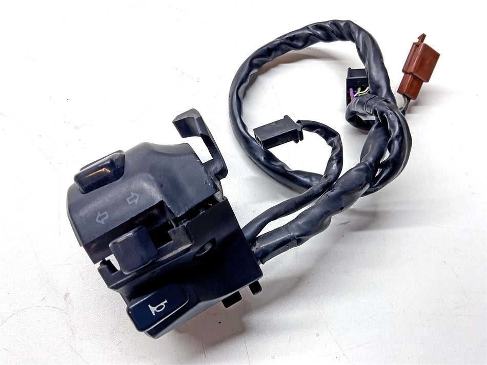 2020 Royal Enfield Himalayan Switchgear Left - 1017028A