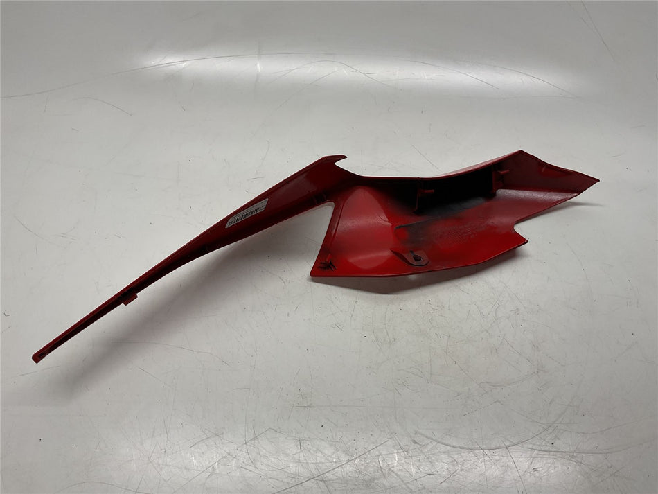2019 BMW S1000RR Left Tank Trim - 46638569771