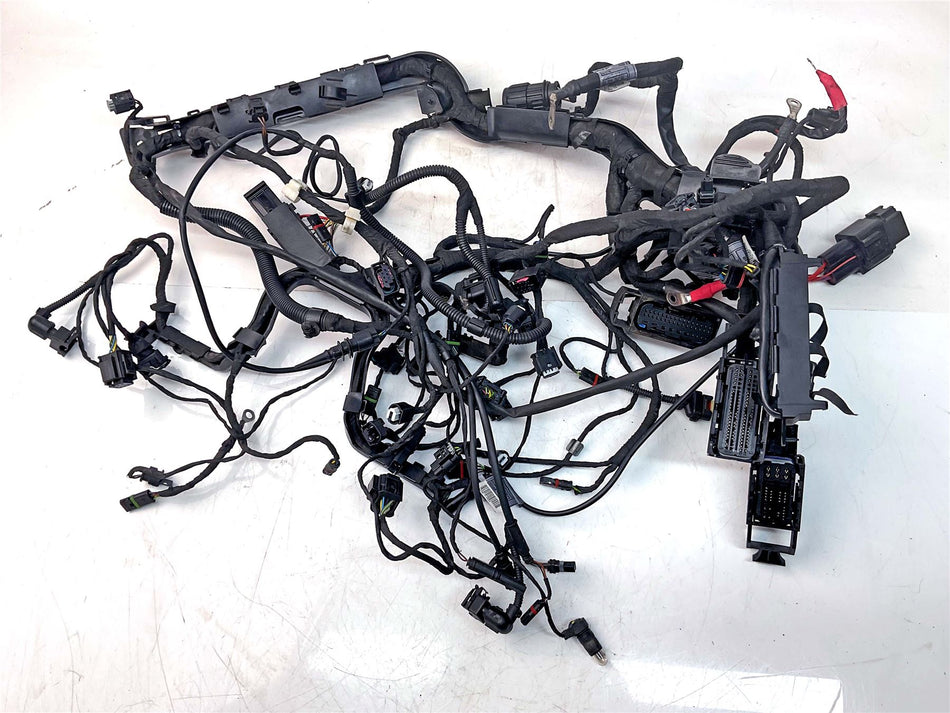 2015 BMW R1200R Wiring Harness Loom - 61118350706
