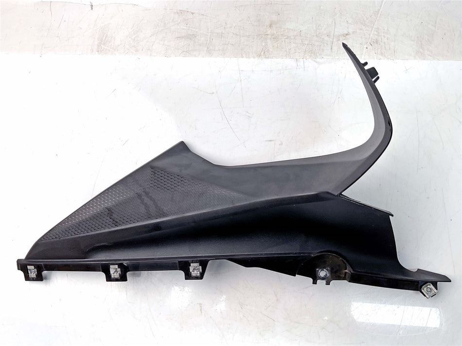 2020 BMW S1000RR Sport Right Front Infill Panel - 46638569788