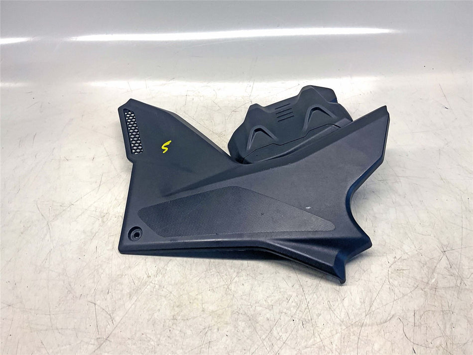 2021 Ducati Multistrada V4 S Right Frame Cover  - 48216842B