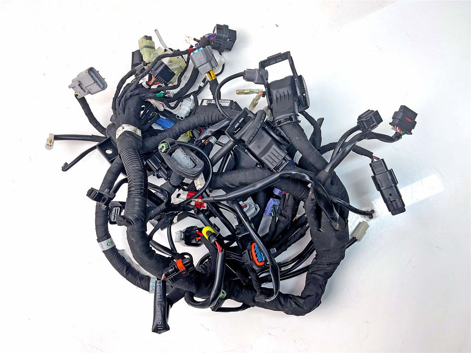 2024 Husqvarna SVARTPILEN 801 Wiring Harness Loom