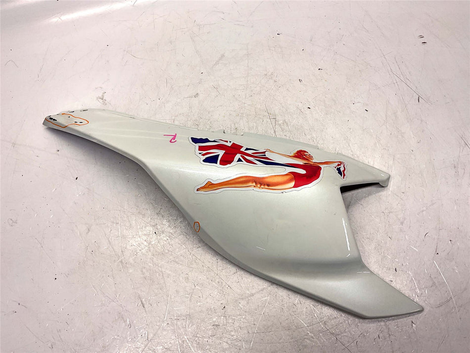 2020 Can-Am Ryker Rally ED 900 Right Side Fairing
