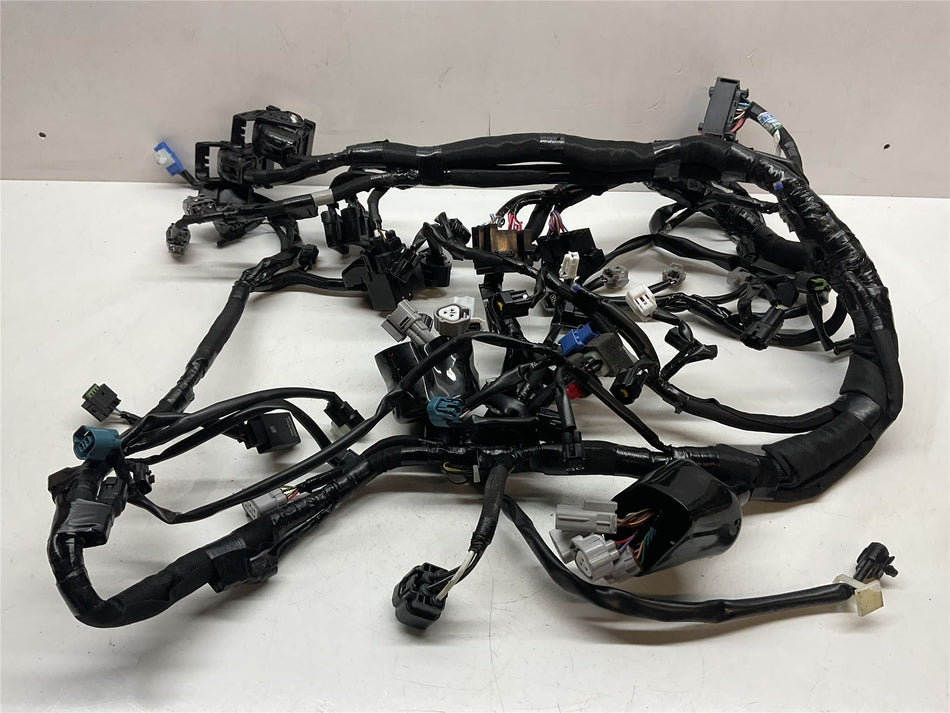 2024 Kawasaki Ninja 1000SX Wiring Harness Loom - 
260312965