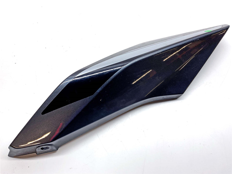 2021 BMW R1250R Left Tail Fairing - 46818406971