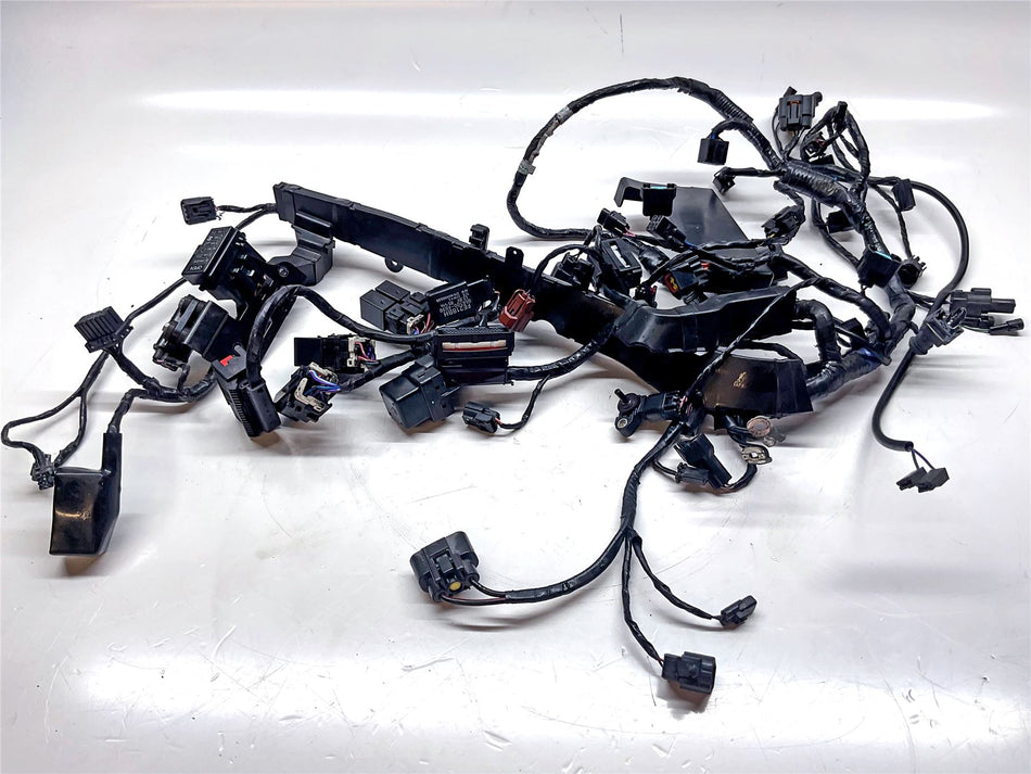 2015 Triumph Street Triple 675 RX Main Wiring Harness - T2508077