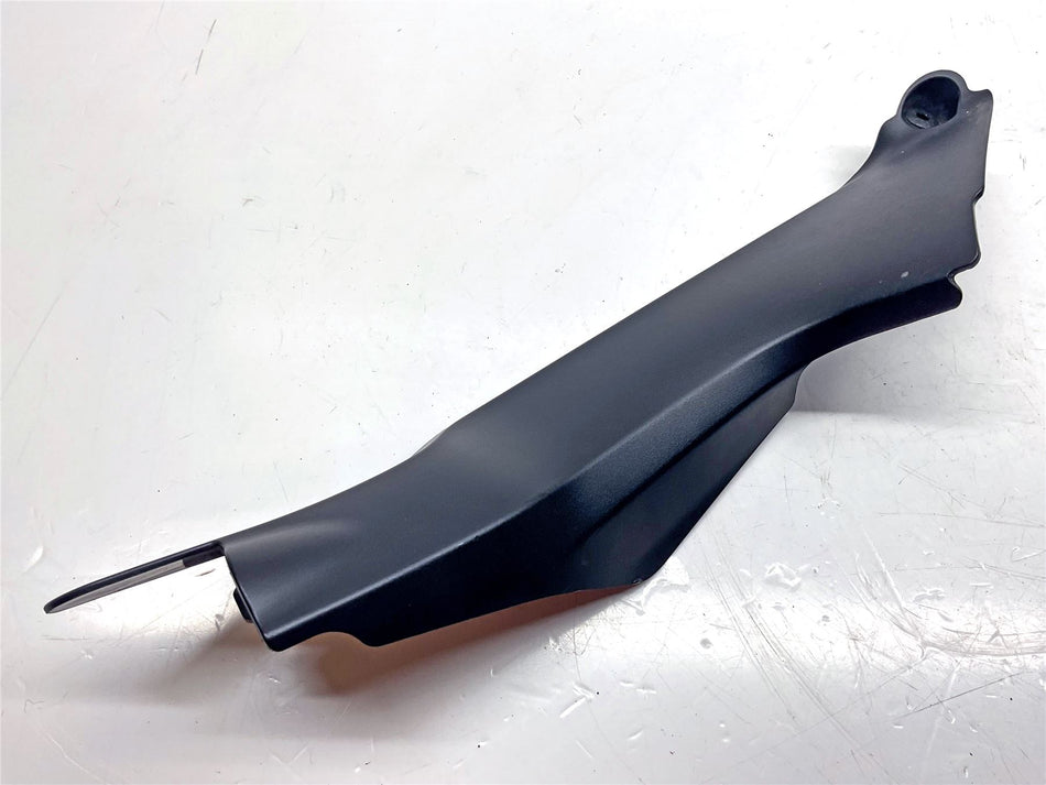 2024 Triumph Speed Triple 1200 Right Infill Panel - T2311502