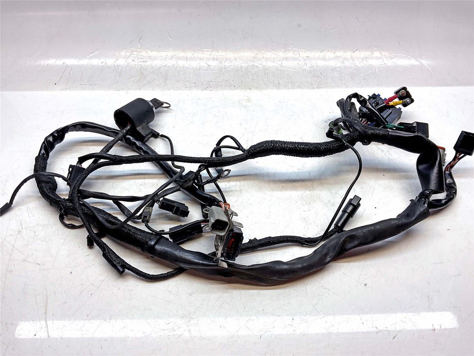 2001 Harley-Davidson Sportster 1200 Custom XL1200C Wiring Harness Loom