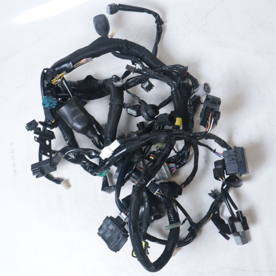 2014 Kawasaki Z1000 SX Wiring Harness - 260311703