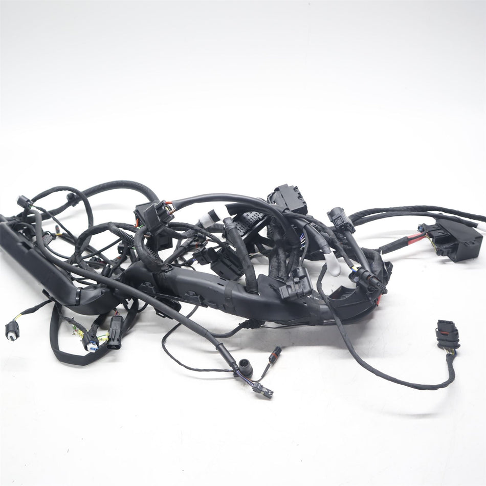 2019 BMW R1250R EXCLUSIVE Main loom - 61119480880