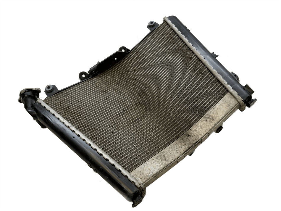 2024 BMW S1000RR Sport Radiator Water Cooler 17118406184