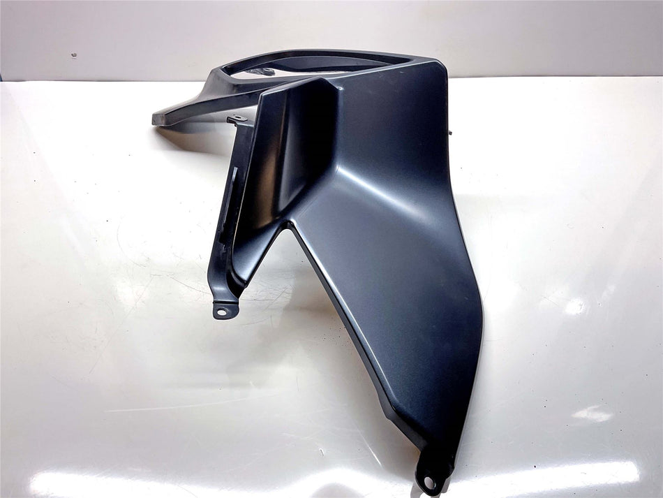 2021 BMW R1250RT Left Knee Cover - 46638533581